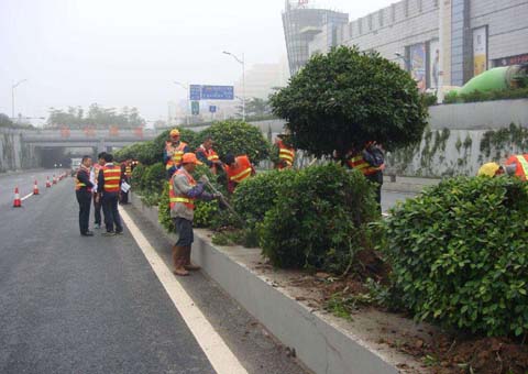 ��������ʯ����2018�����ƶ����ũ�幫·